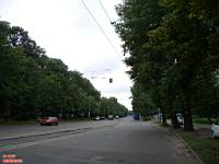 IMGP0525.JPG