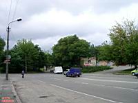 IMGP0559.JPG