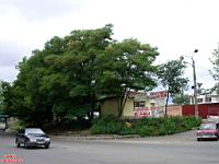 IMGP0560.JPG