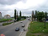 IMGP0577.JPG